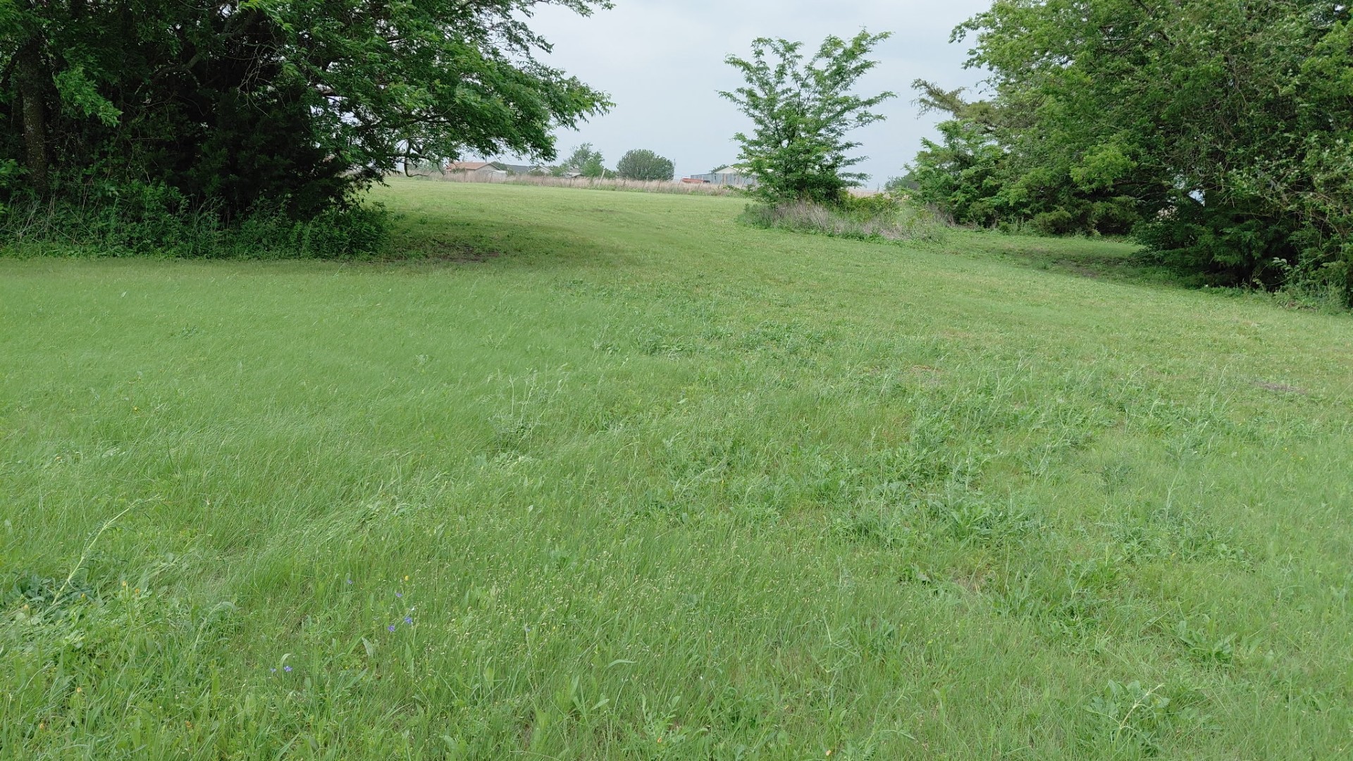 6141 County Road 593 Nevada TX 75173