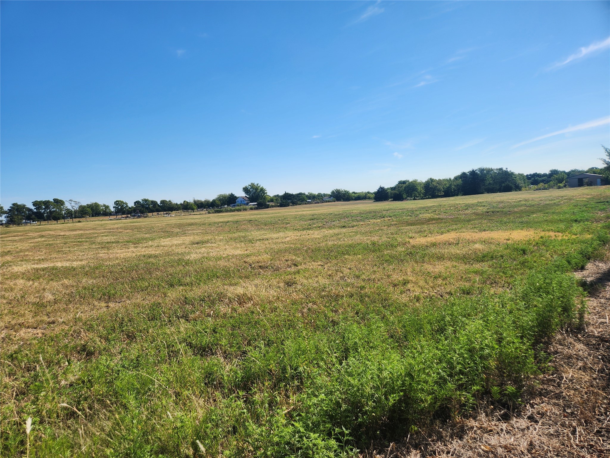 7981 Fm 697 Whitewright TX 75491