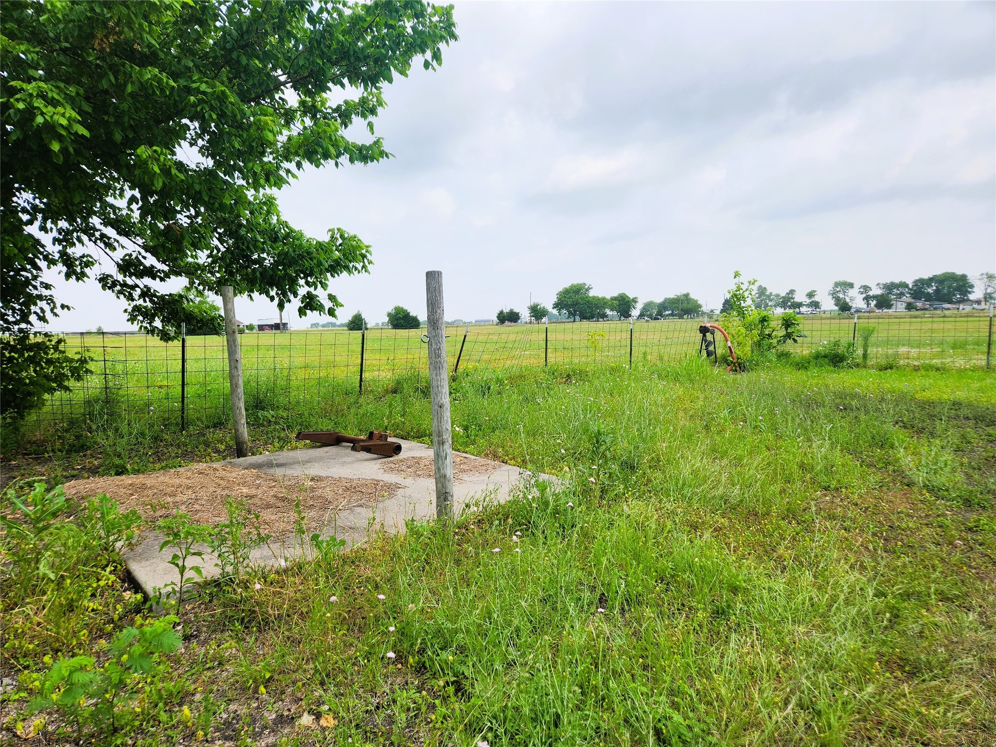 7981 Fm 697 Whitewright TX 75491