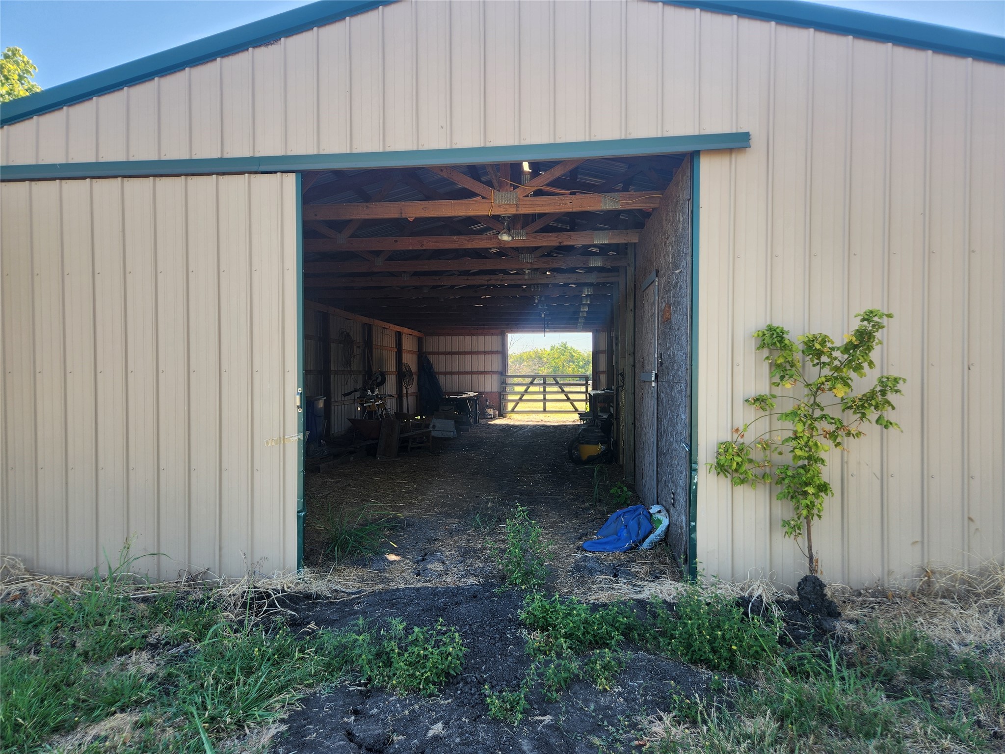 7981 Fm 697 Whitewright TX 75491