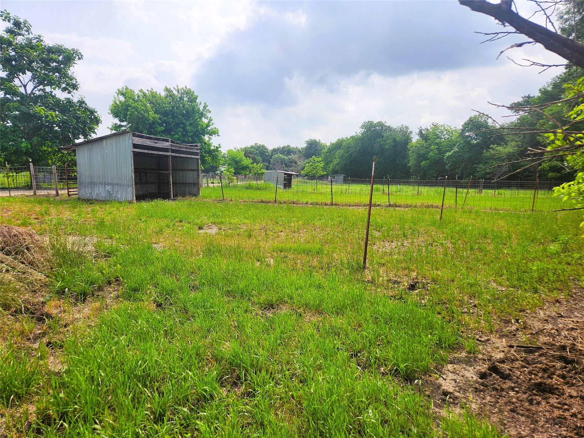 7981 Fm 697 Whitewright TX 75491