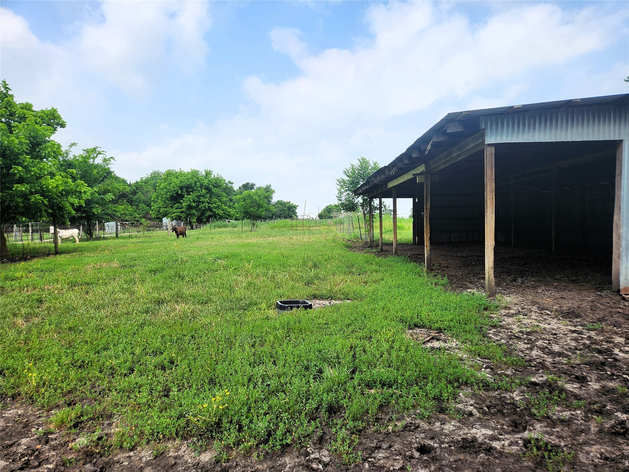 7981 Fm 697 Whitewright TX 75491
