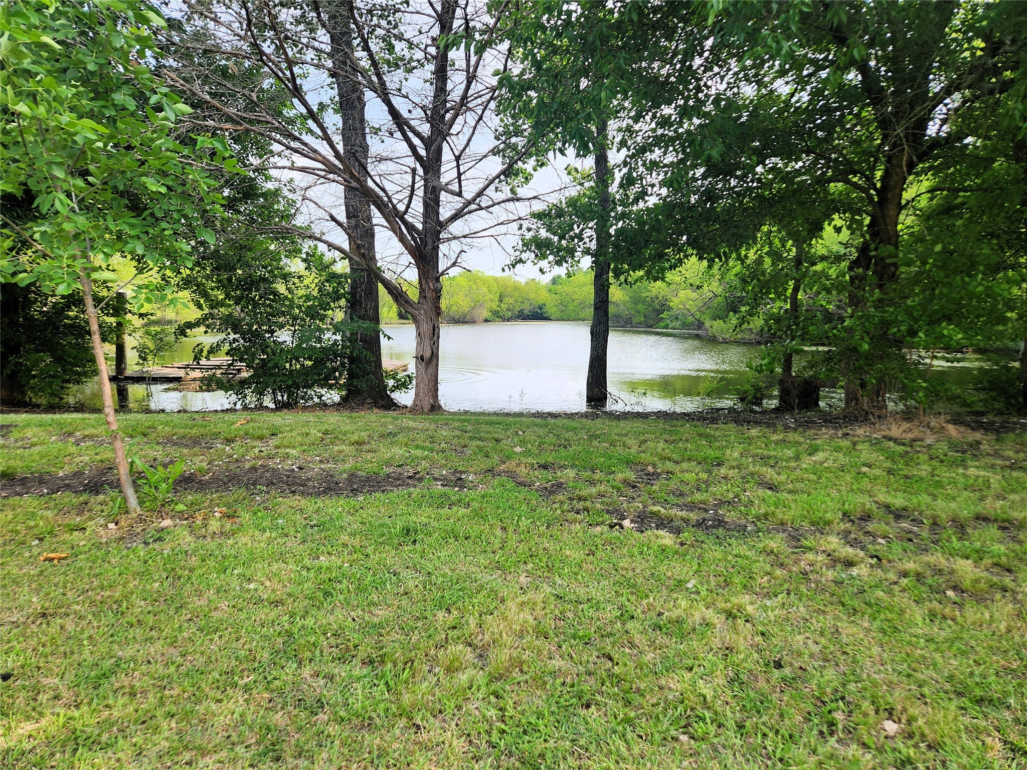 7981 Fm 697 Whitewright TX 75491