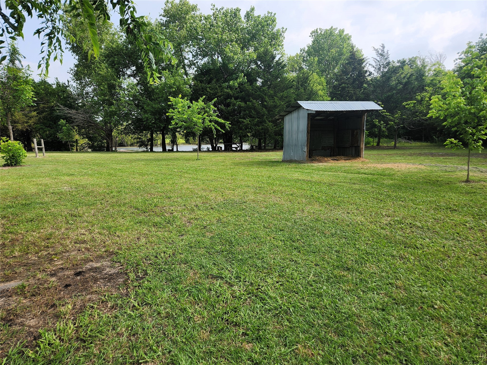 7981 Fm 697 Whitewright TX 75491