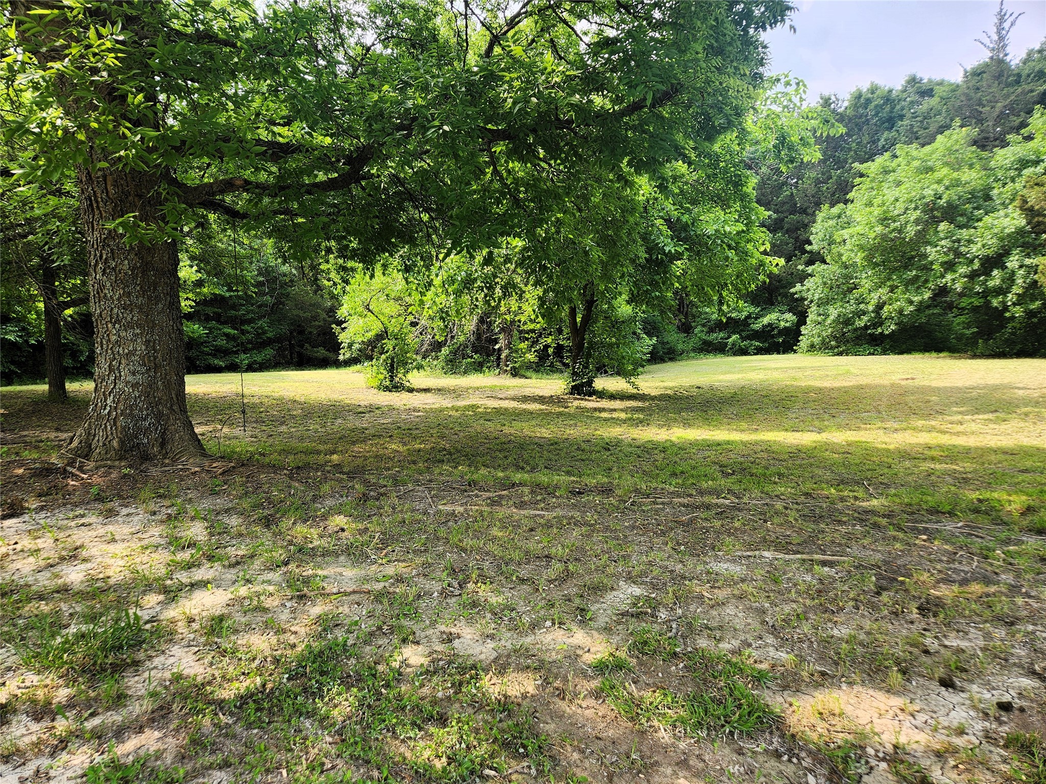 7981 Fm 697 Whitewright TX 75491
