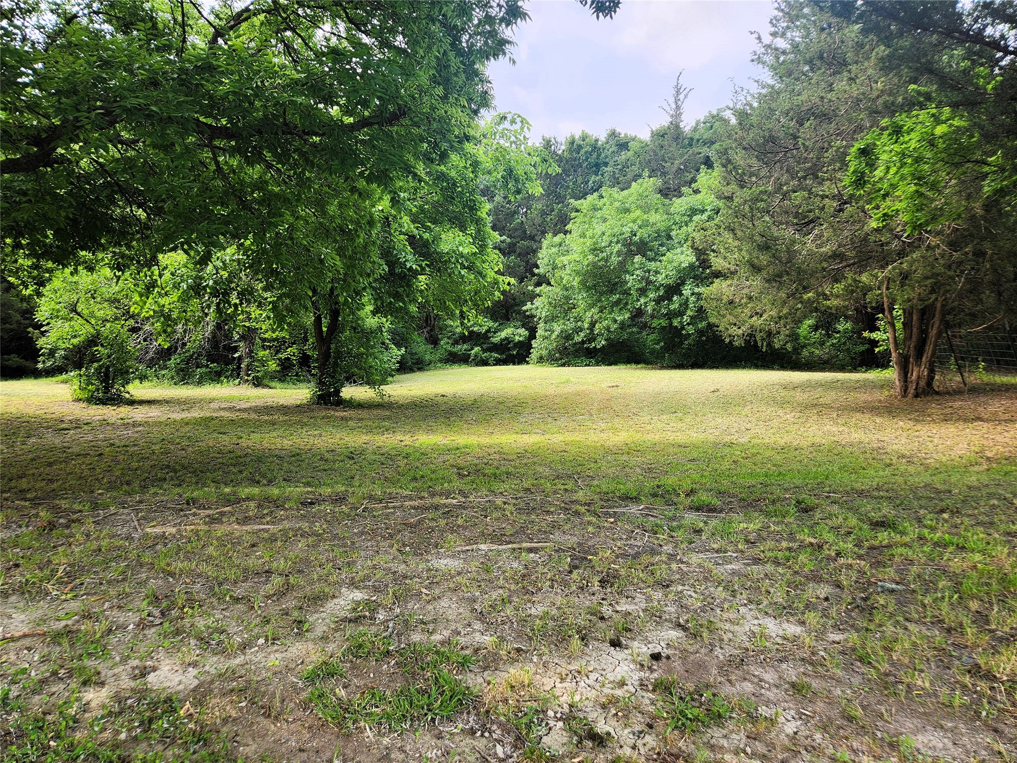 7981 Fm 697 Whitewright TX 75491