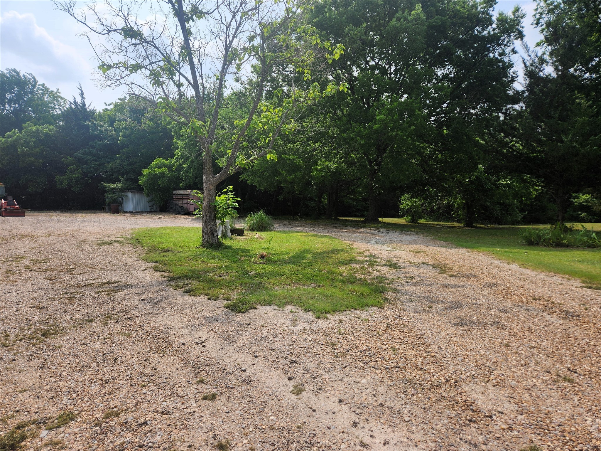 7981 Fm 697 Whitewright TX 75491