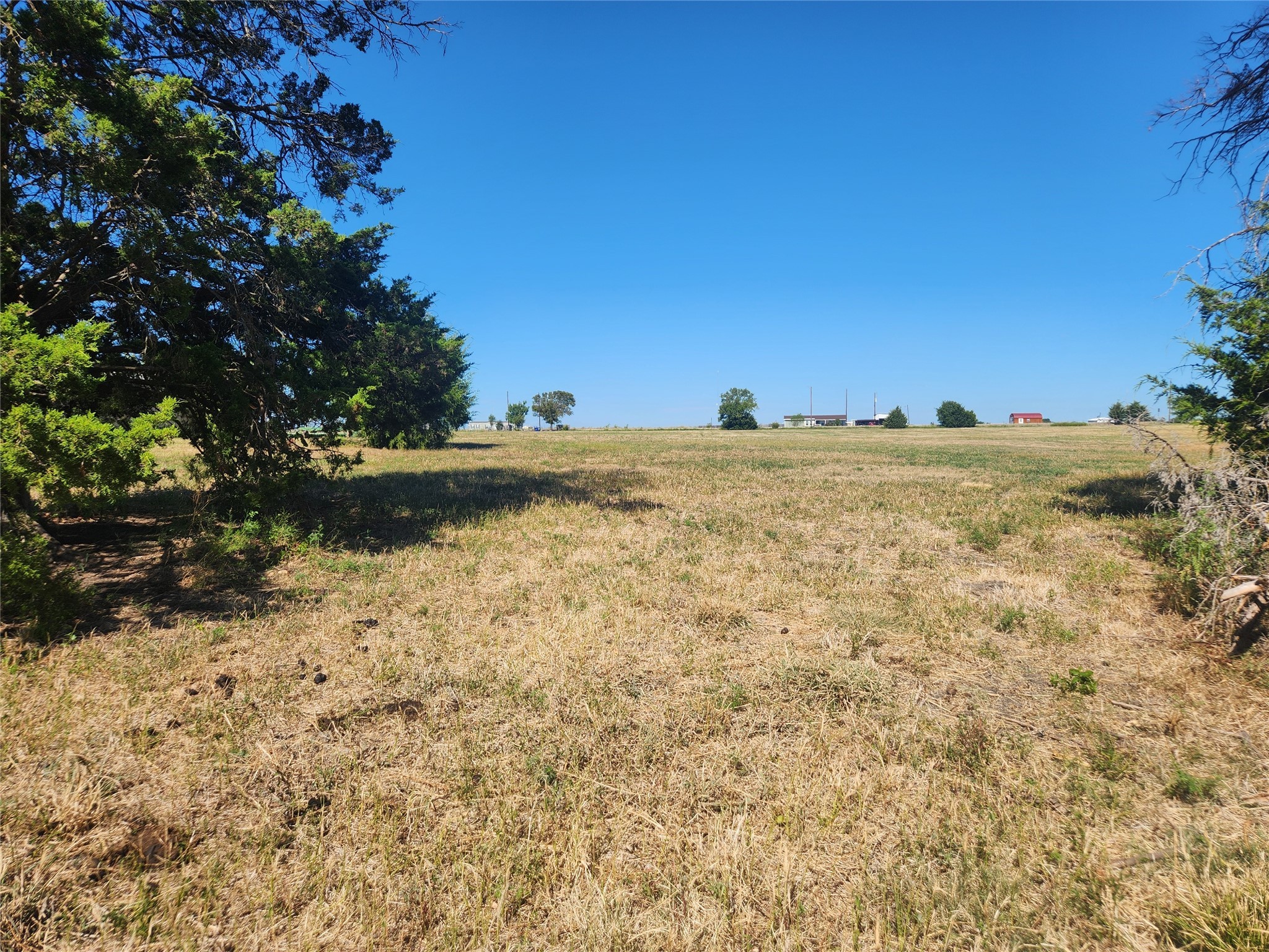 7981 Fm 697 Whitewright TX 75491