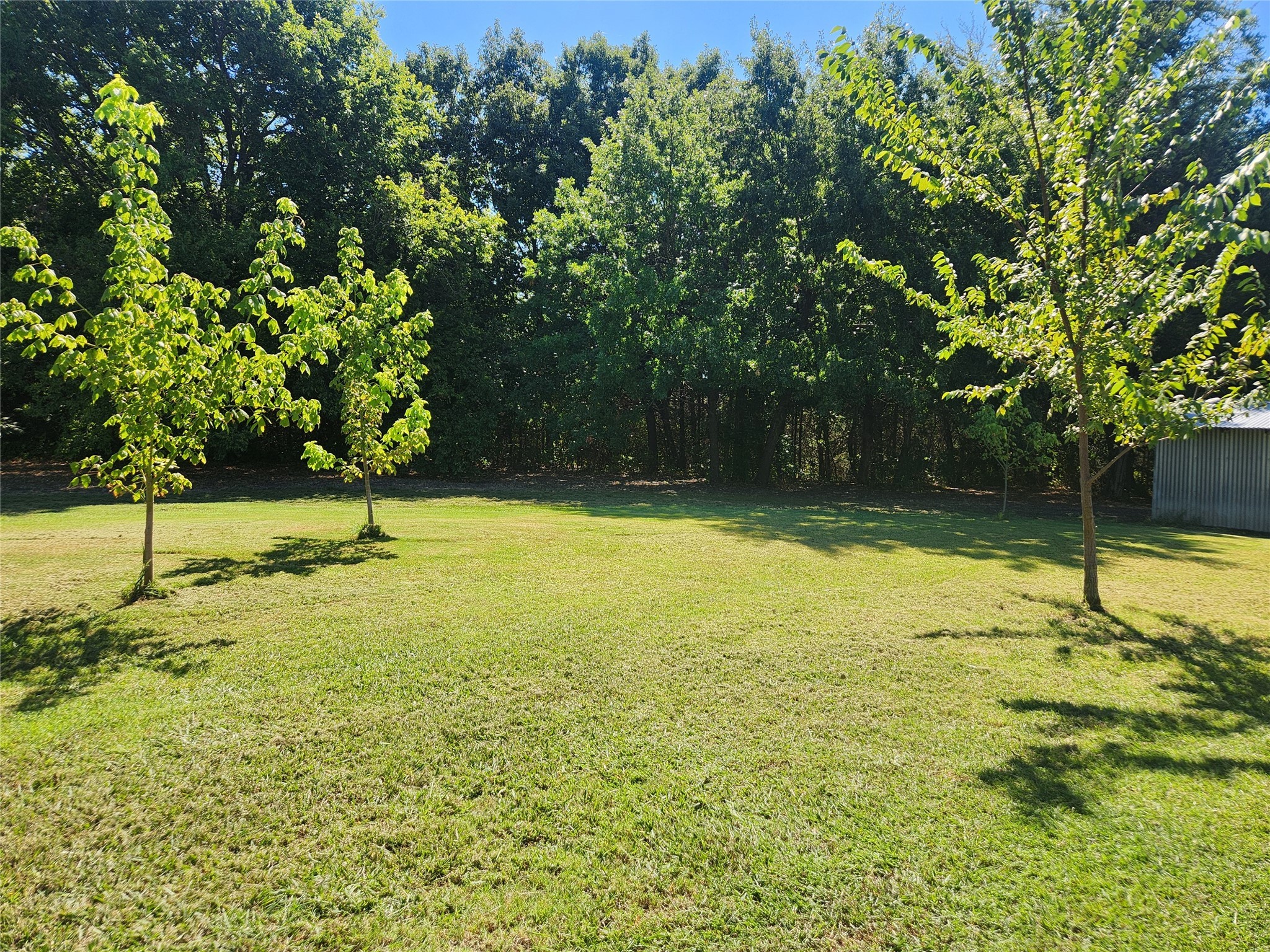 7981 Fm 697 Whitewright TX 75491