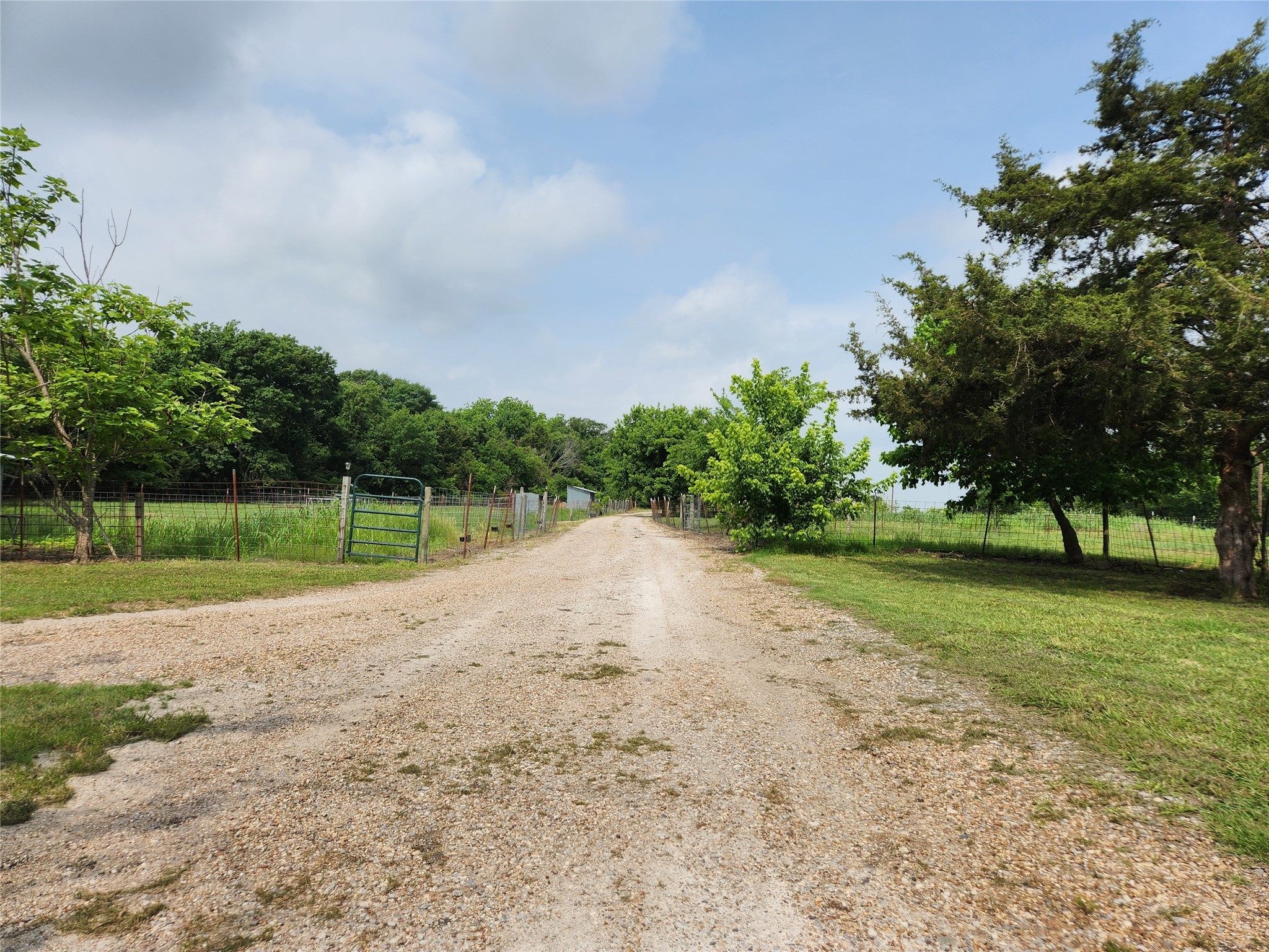 7981 Fm 697 Whitewright TX 75491