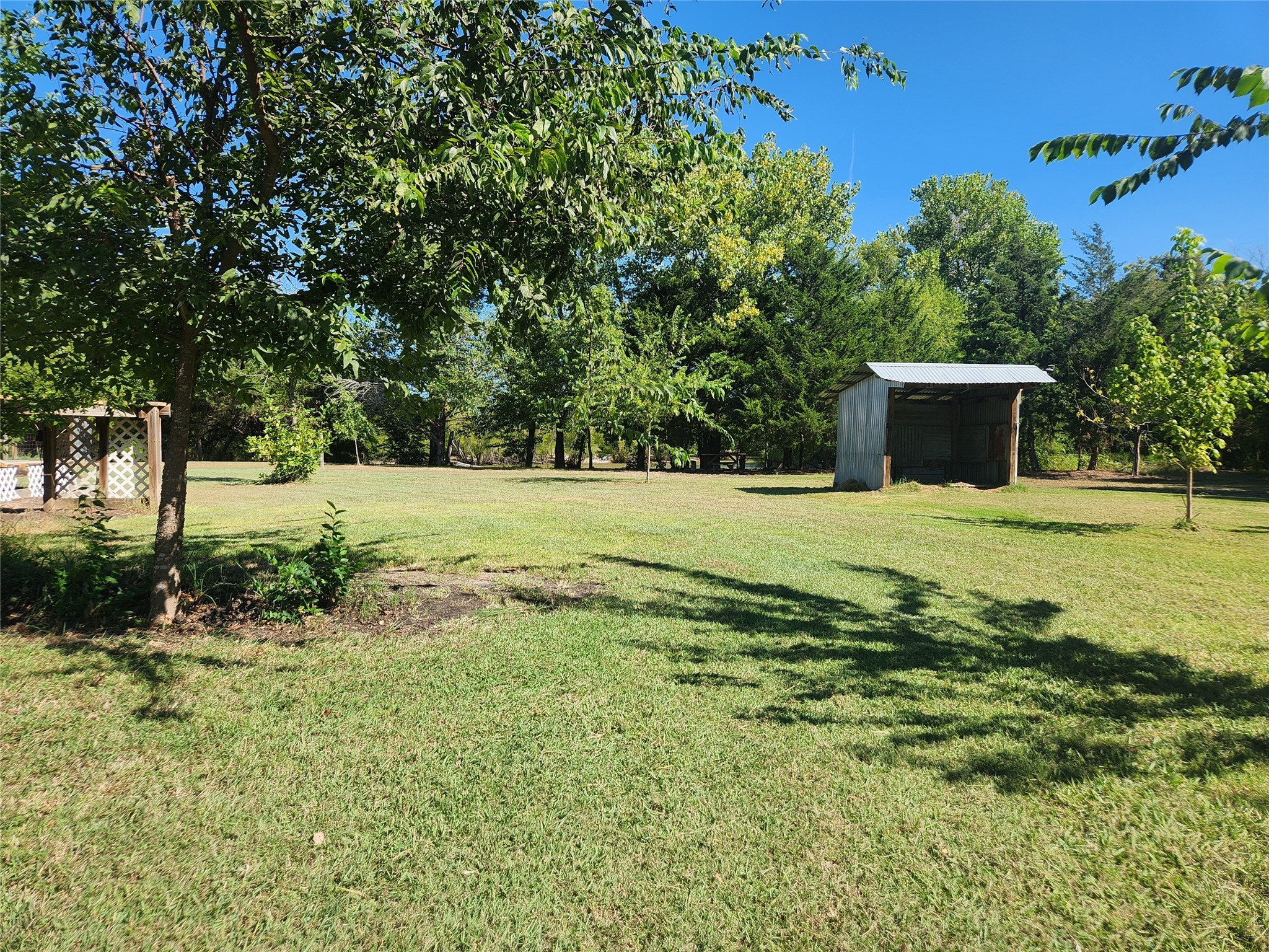7981 Fm 697 Whitewright TX 75491
