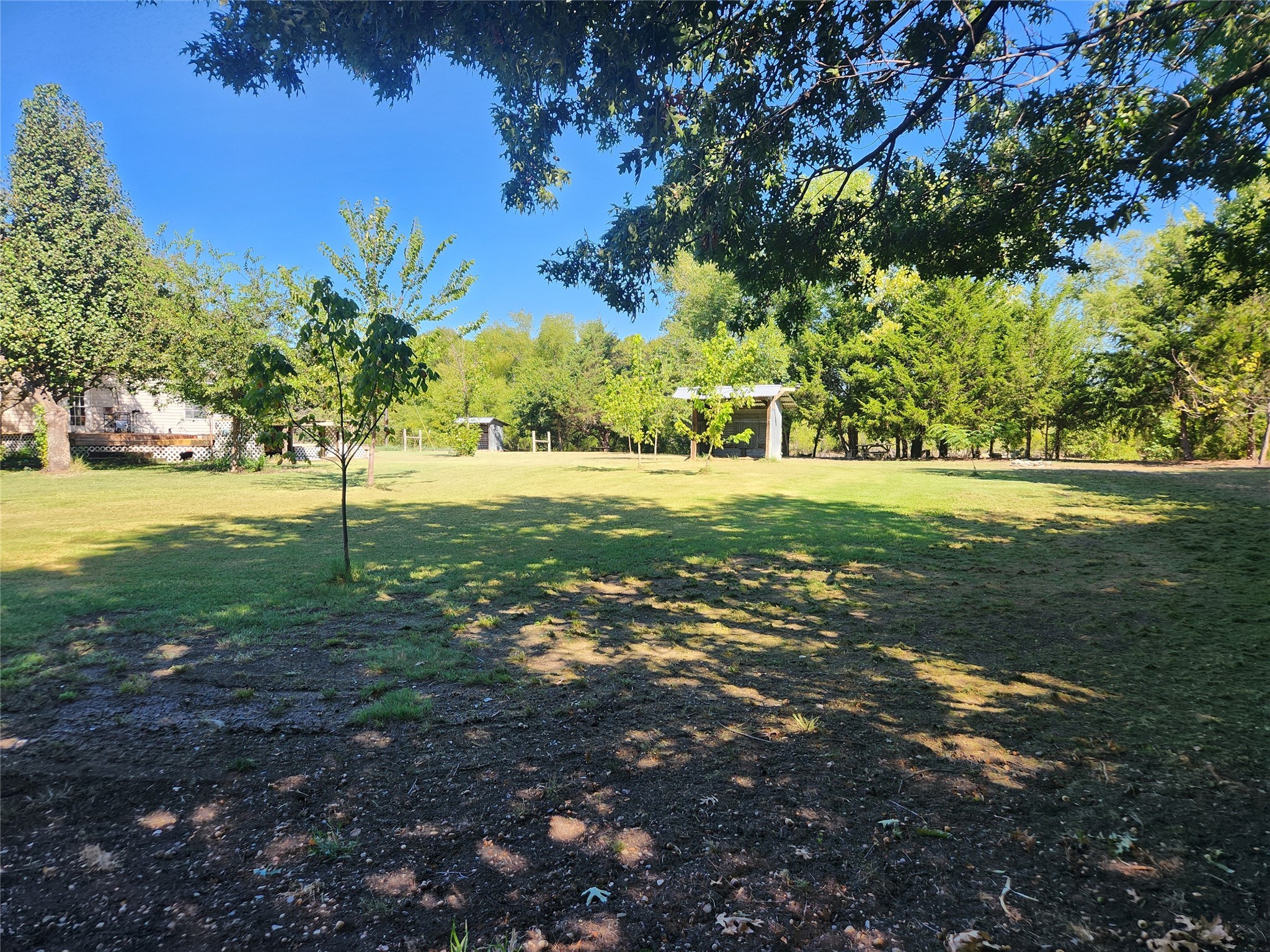7981 Fm 697 Whitewright TX 75491