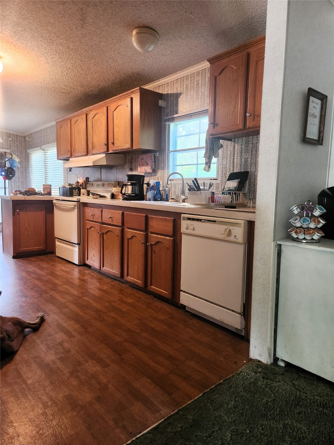 7981 Fm 697 Whitewright TX 75491