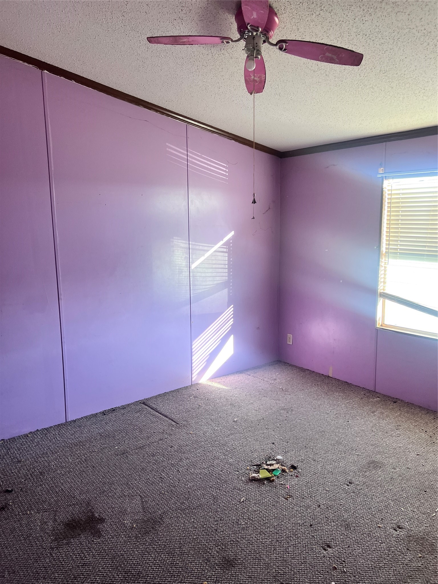 5810 Fm-1769 Graham TX 76450