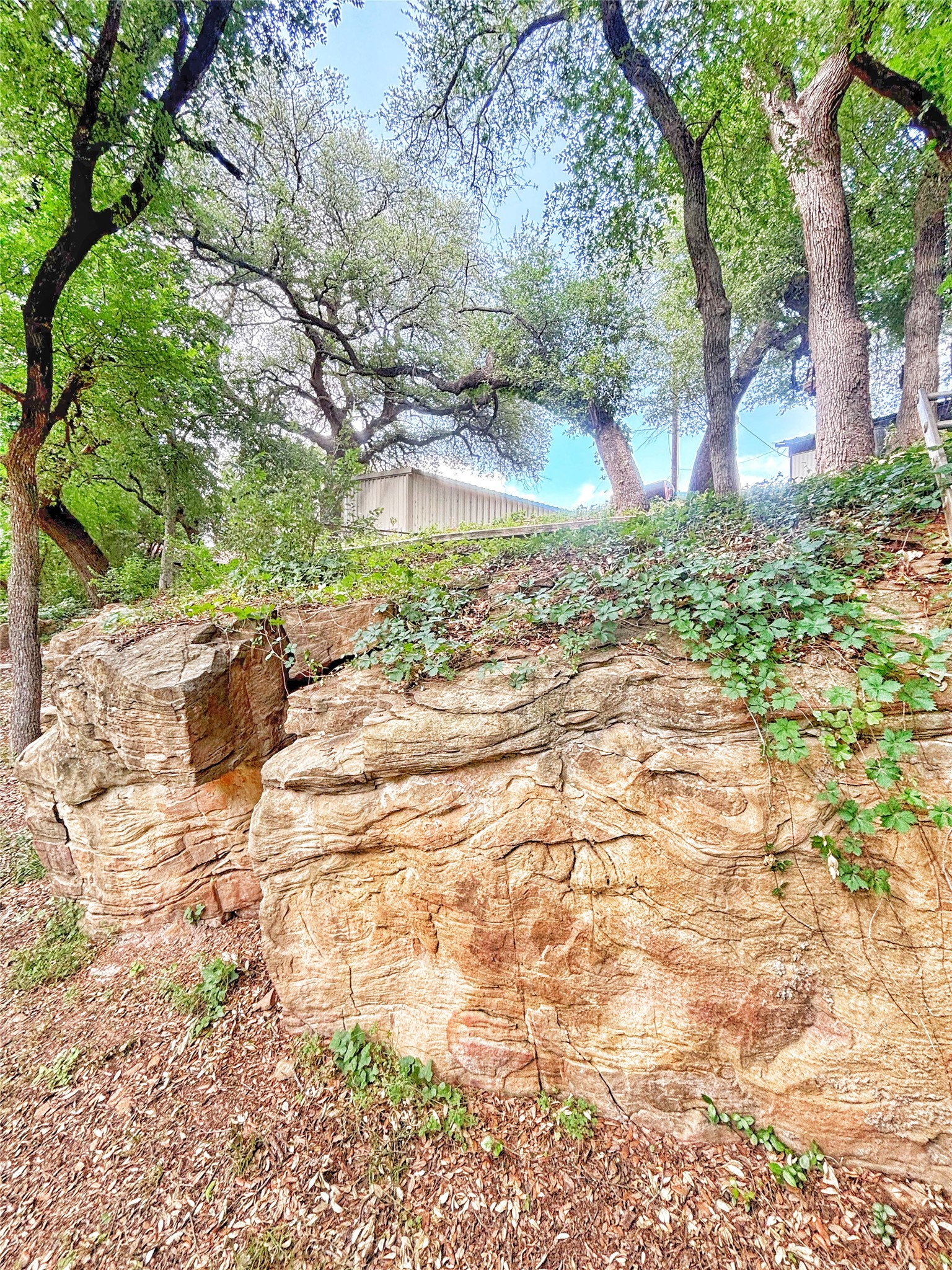 101 River View Road Millsap TX 76066
