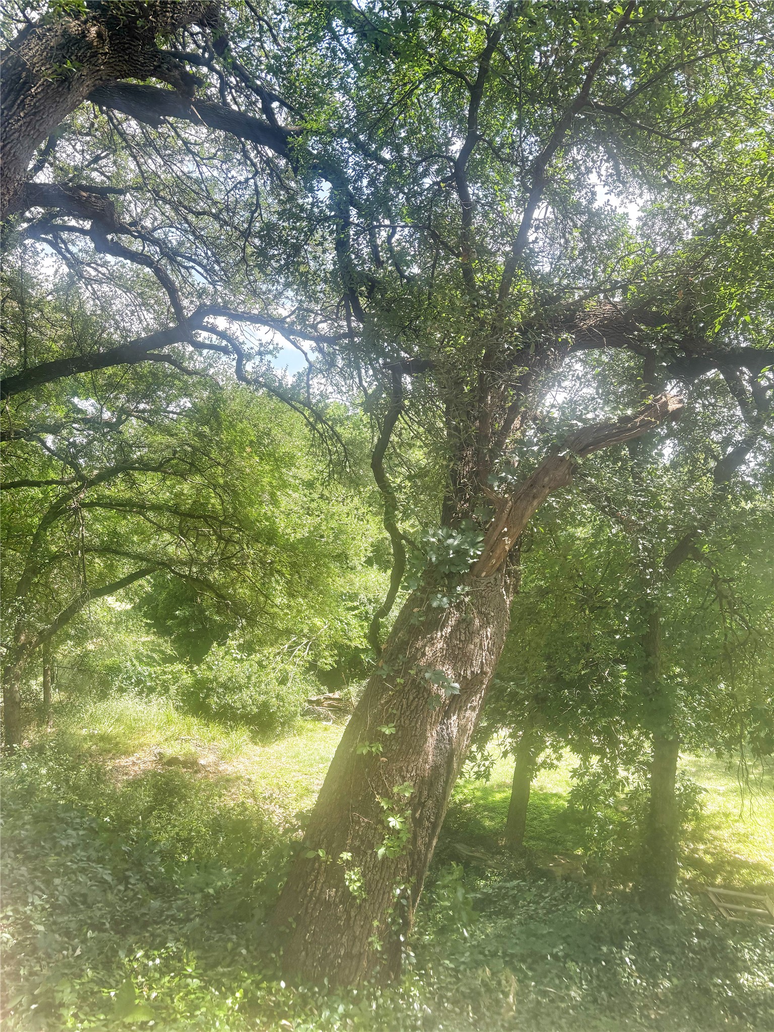101 River View Road Millsap TX 76066