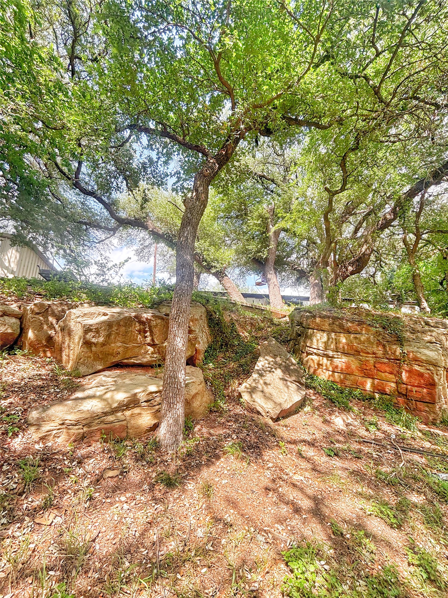 101 River View Road Millsap TX 76066