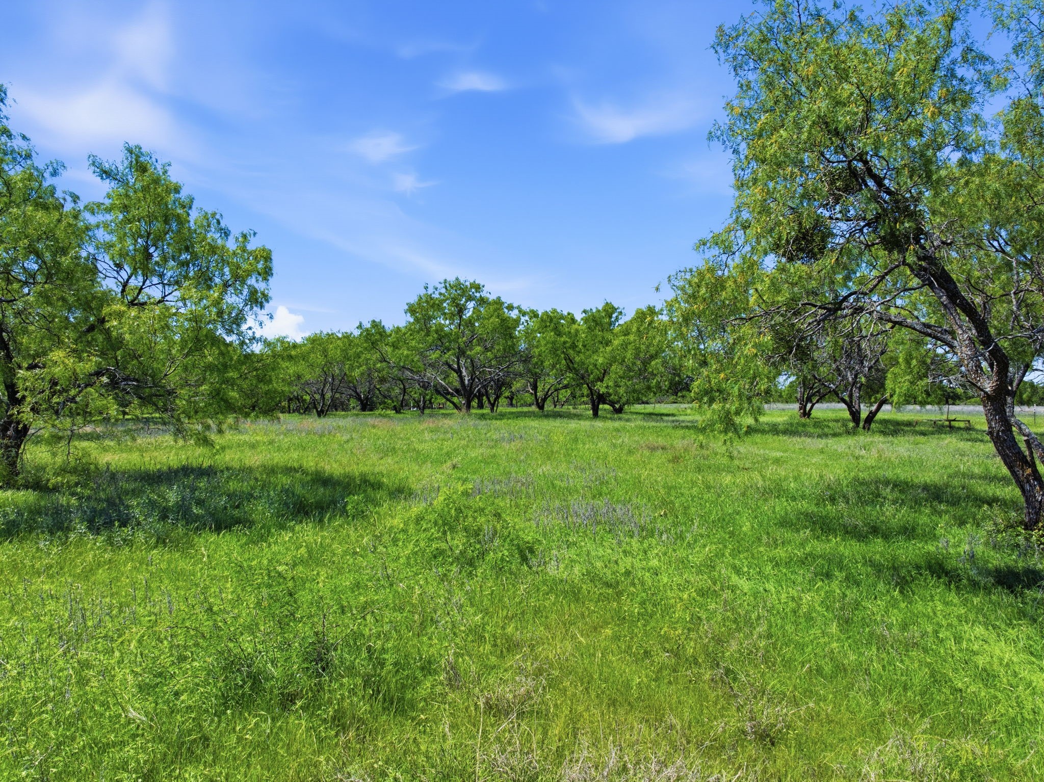517 County Road 167 Eastland TX 76448