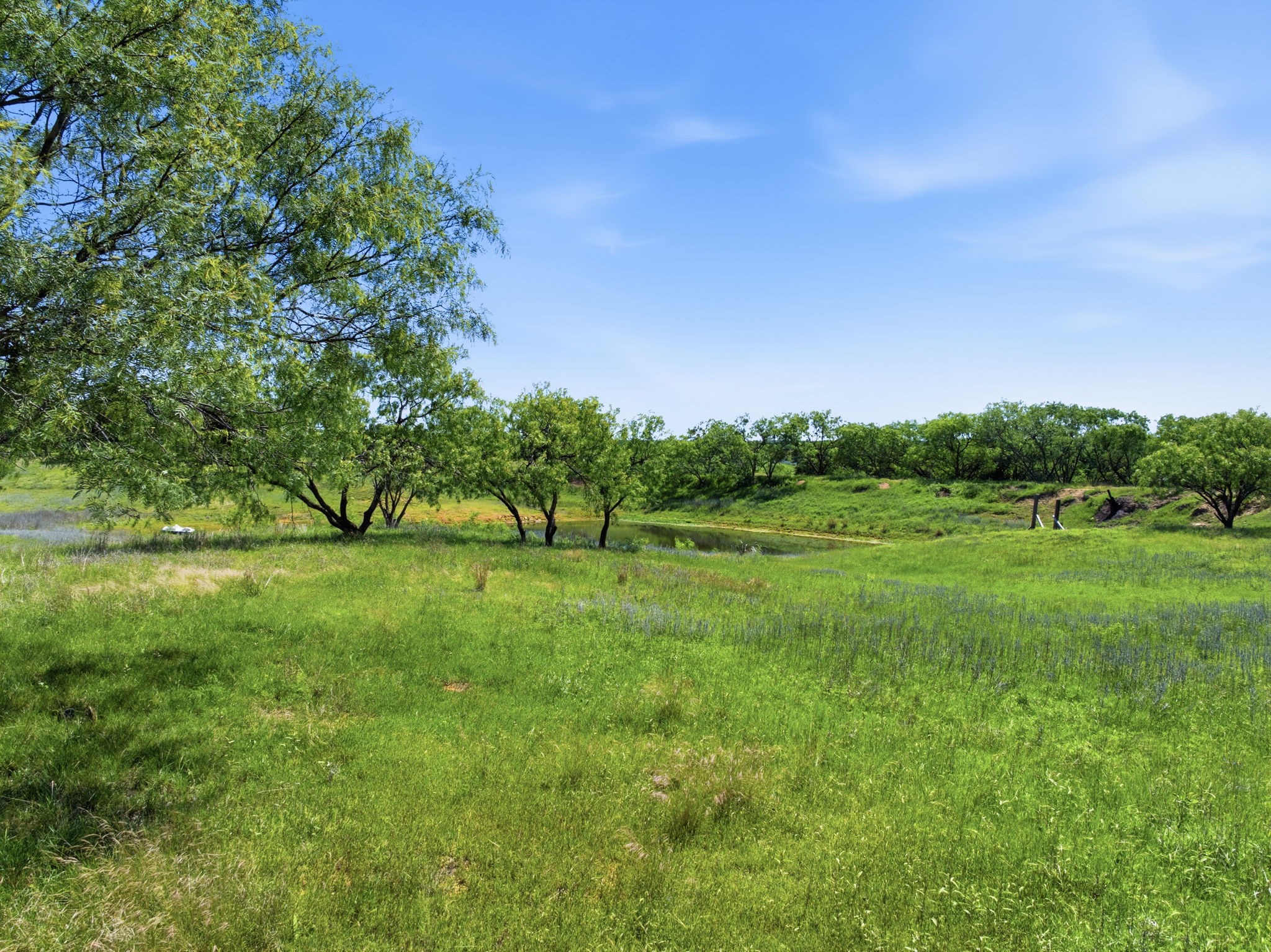 517 County Road 167 Eastland TX 76448