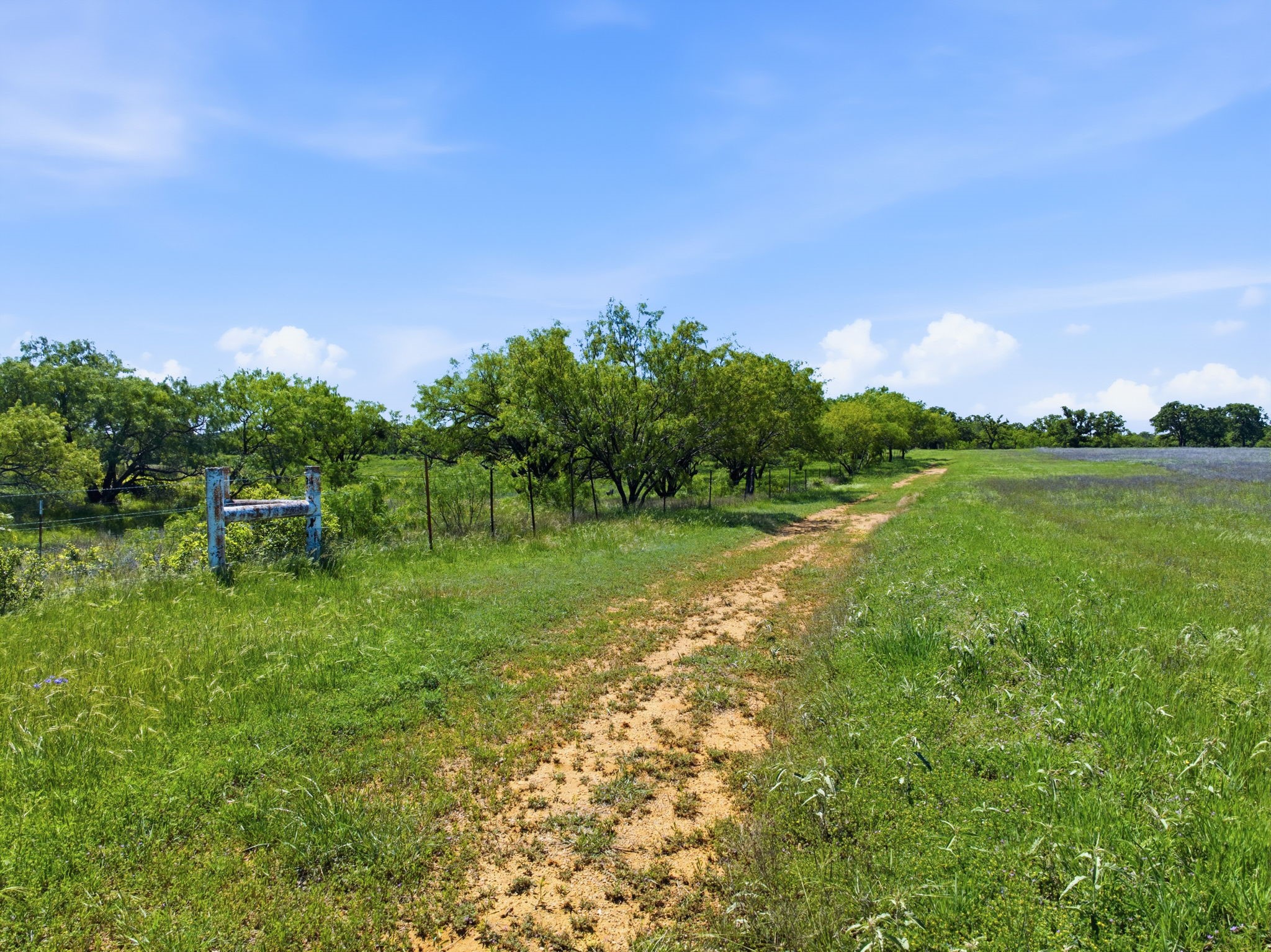 517 County Road 167 Eastland TX 76448