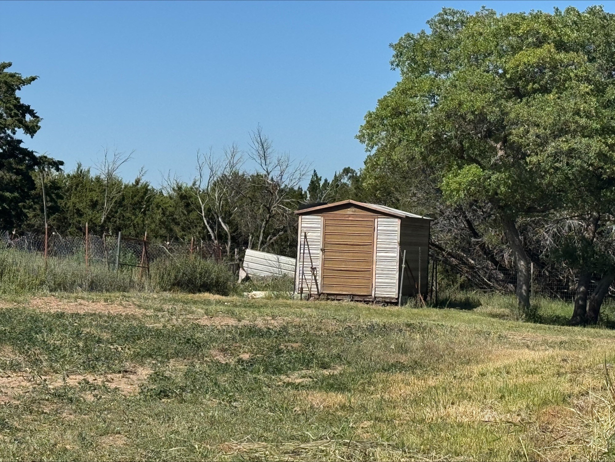 402 County Road 655 Tuscola TX 79562
