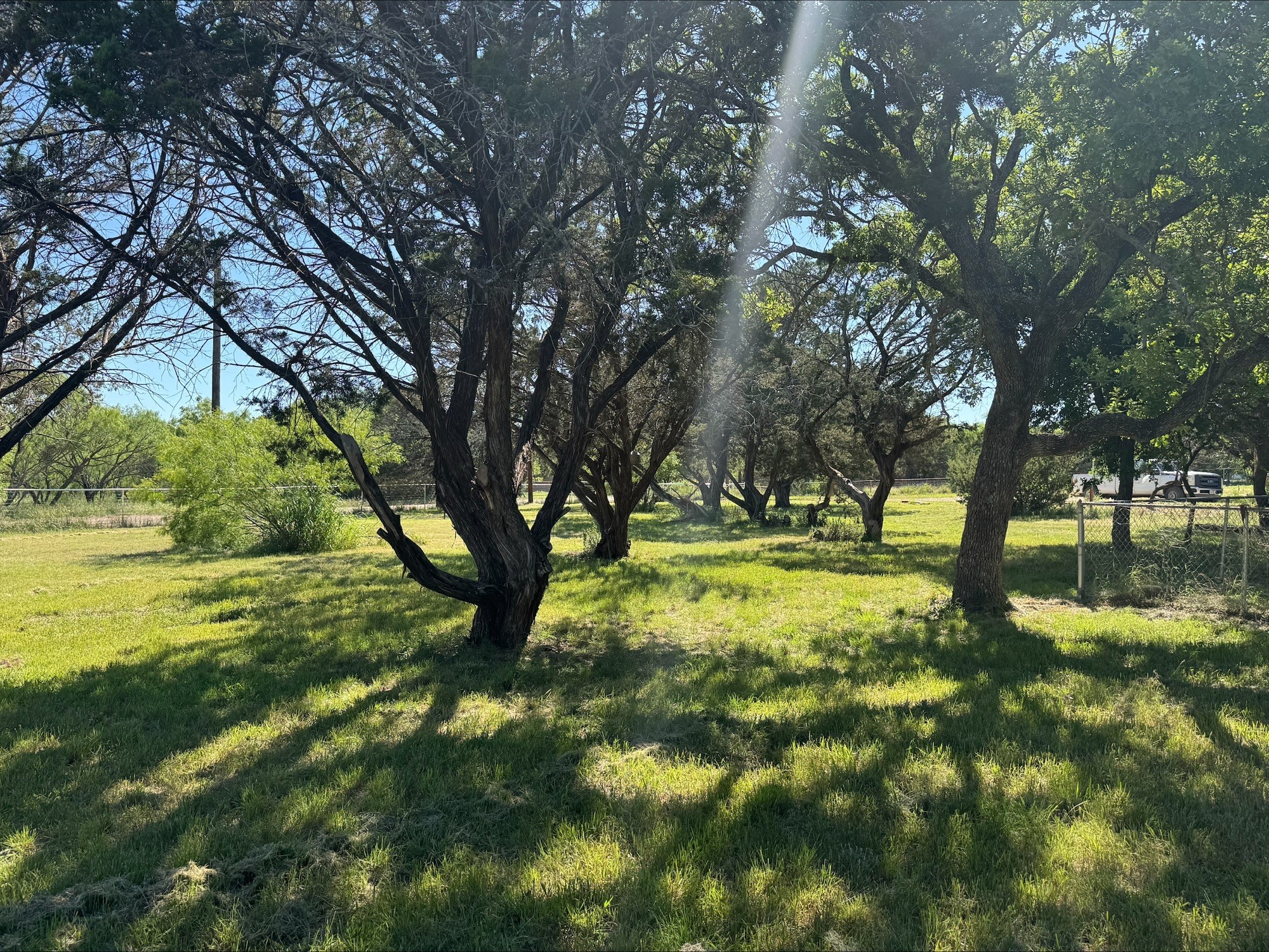 402 County Road 655 Tuscola TX 79562