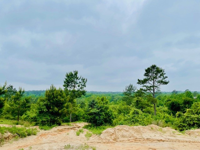 2665 County Road 3940 Mineola TX 75773