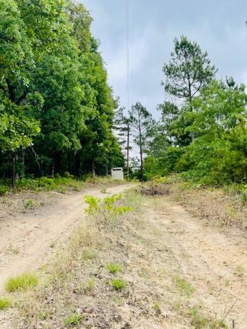 2665 County Road 3940 Mineola TX 75773