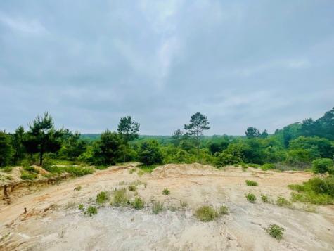 2665 County Road 3940 Mineola TX 75773