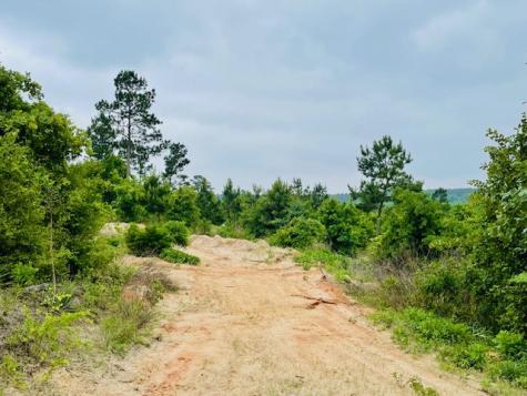 2665 County Road 3940 Mineola TX 75773