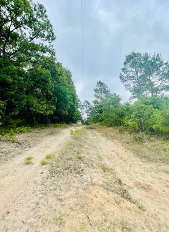 2665 County Road 3940 Mineola TX 75773