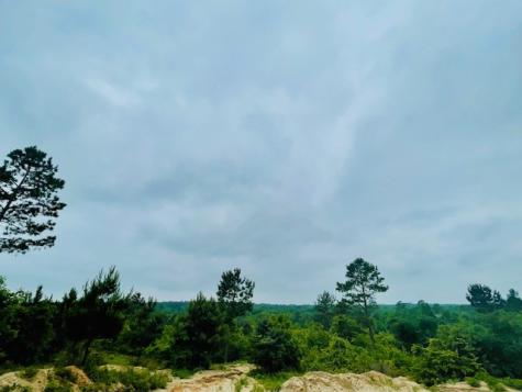 2665 County Road 3940 Mineola TX 75773