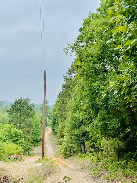2665 County Road 3940 Mineola TX 75773