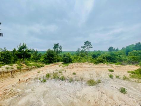 2665 County Road 3940 Mineola TX 75773