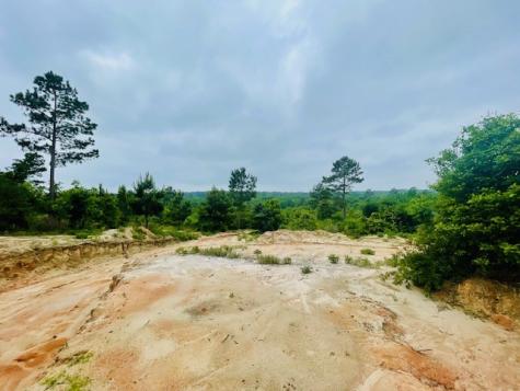2665 County Road 3940 Mineola TX 75773