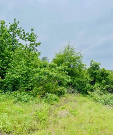 2665 County Road 3940 Mineola TX 75773