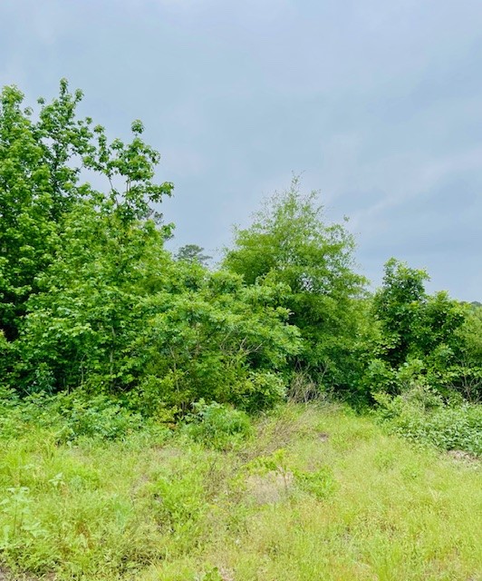 2665 County Road 3940 Mineola TX 75773