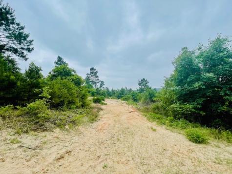 2665 County Road 3940 Mineola TX 75773