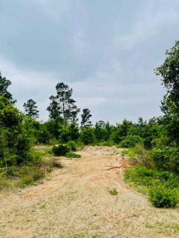 2665 County Road 3940 Mineola TX 75773