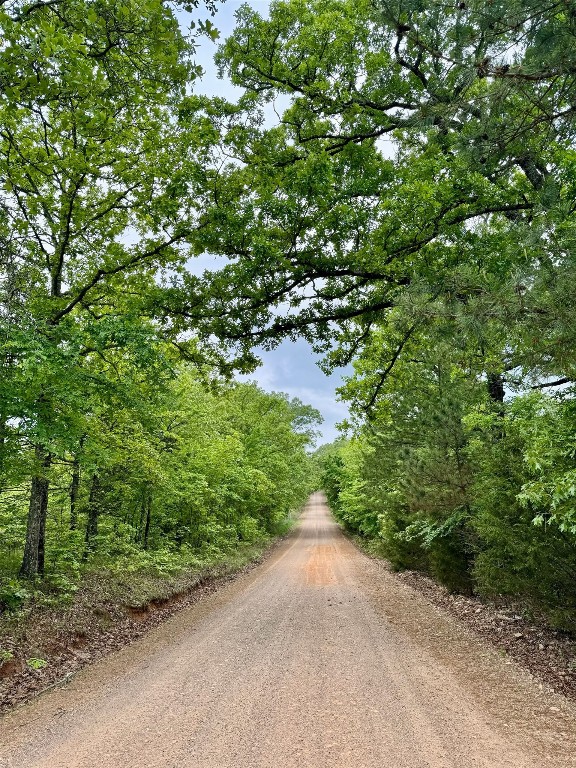 21179 Standridge E Atoka OK 72525