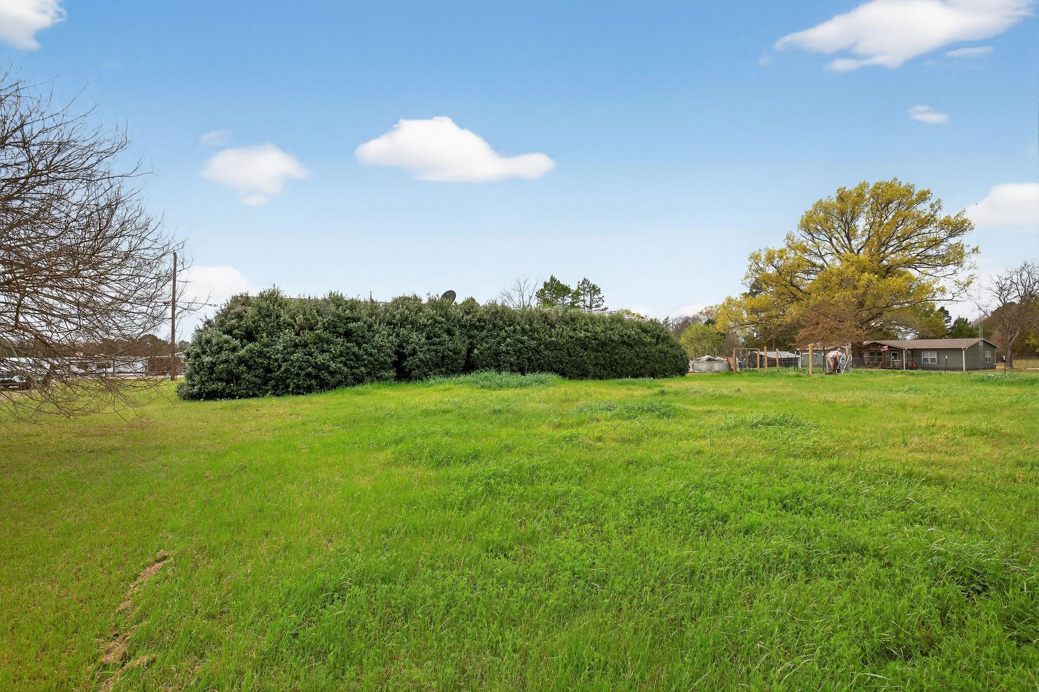 142 Vz County Road 4830 Ben Wheeler TX 75754