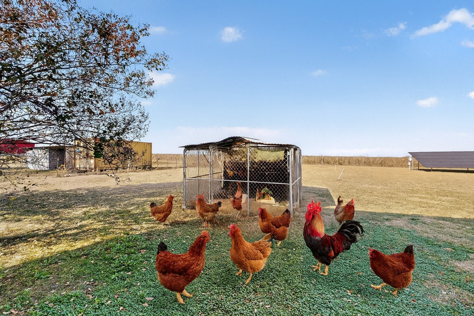 5925 Fm 2415 Alvarado TX 76009