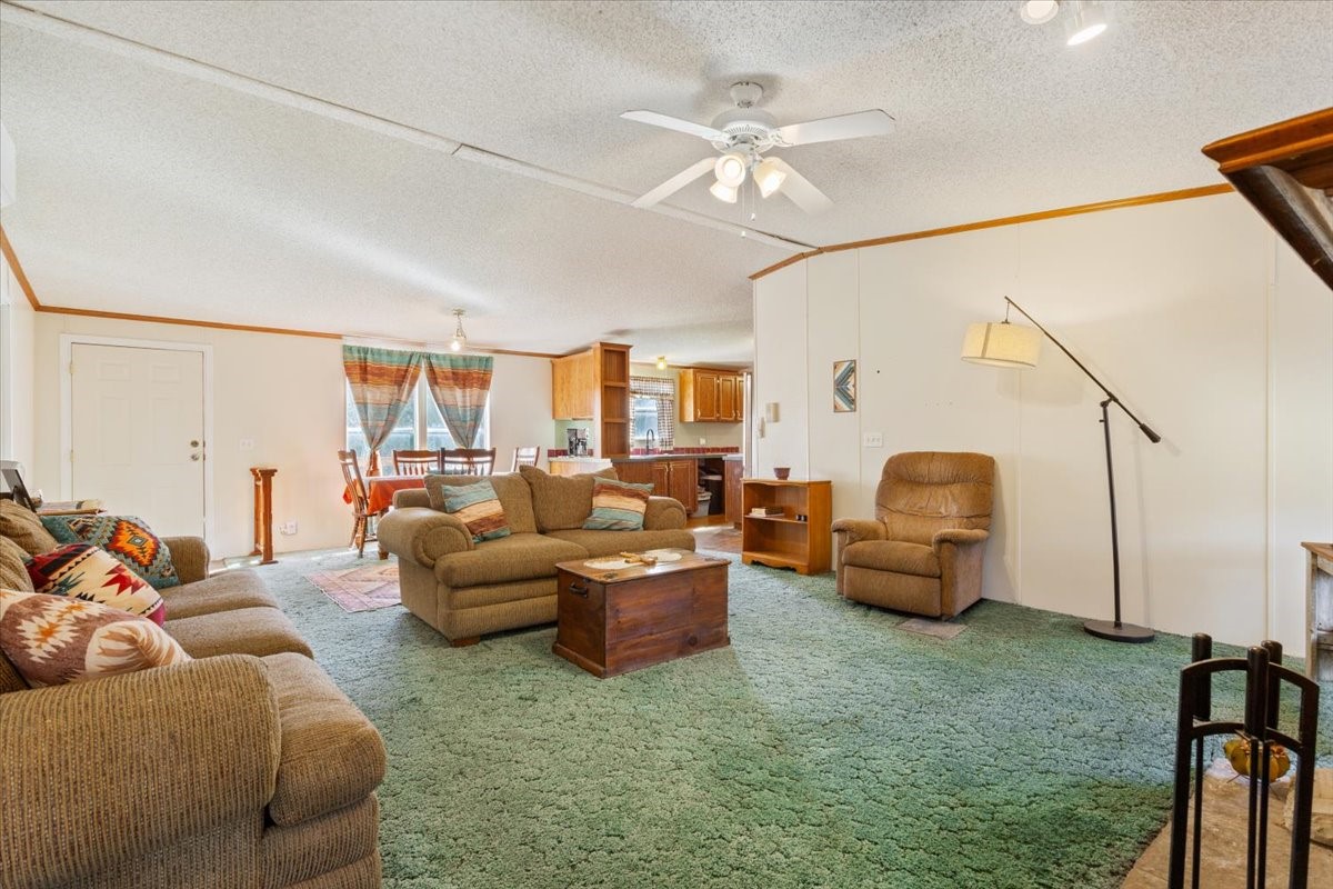 161 County Road 3120 Valley Mills TX 76689