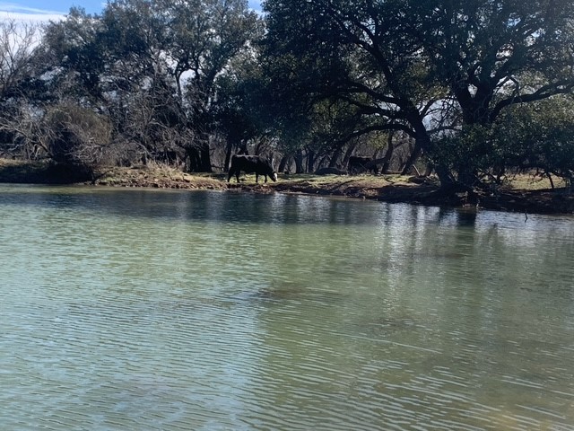 1521 Fm 590 Comanche TX 76442
