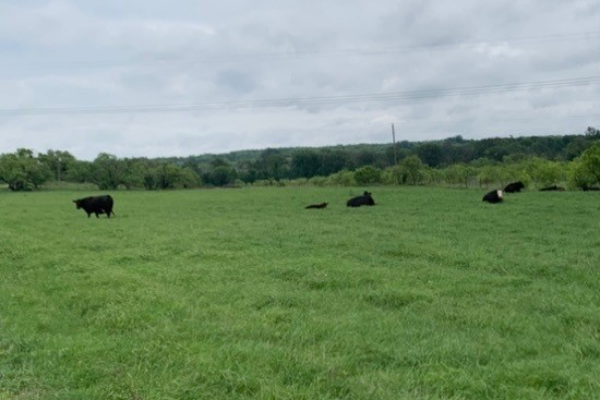 1521 Fm 590 Comanche TX 76442