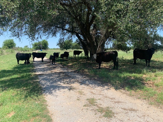 1521 Fm 590 Comanche TX 76442