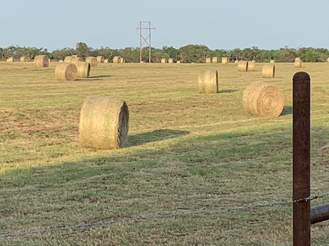 1521 Fm 590 Comanche TX 76442