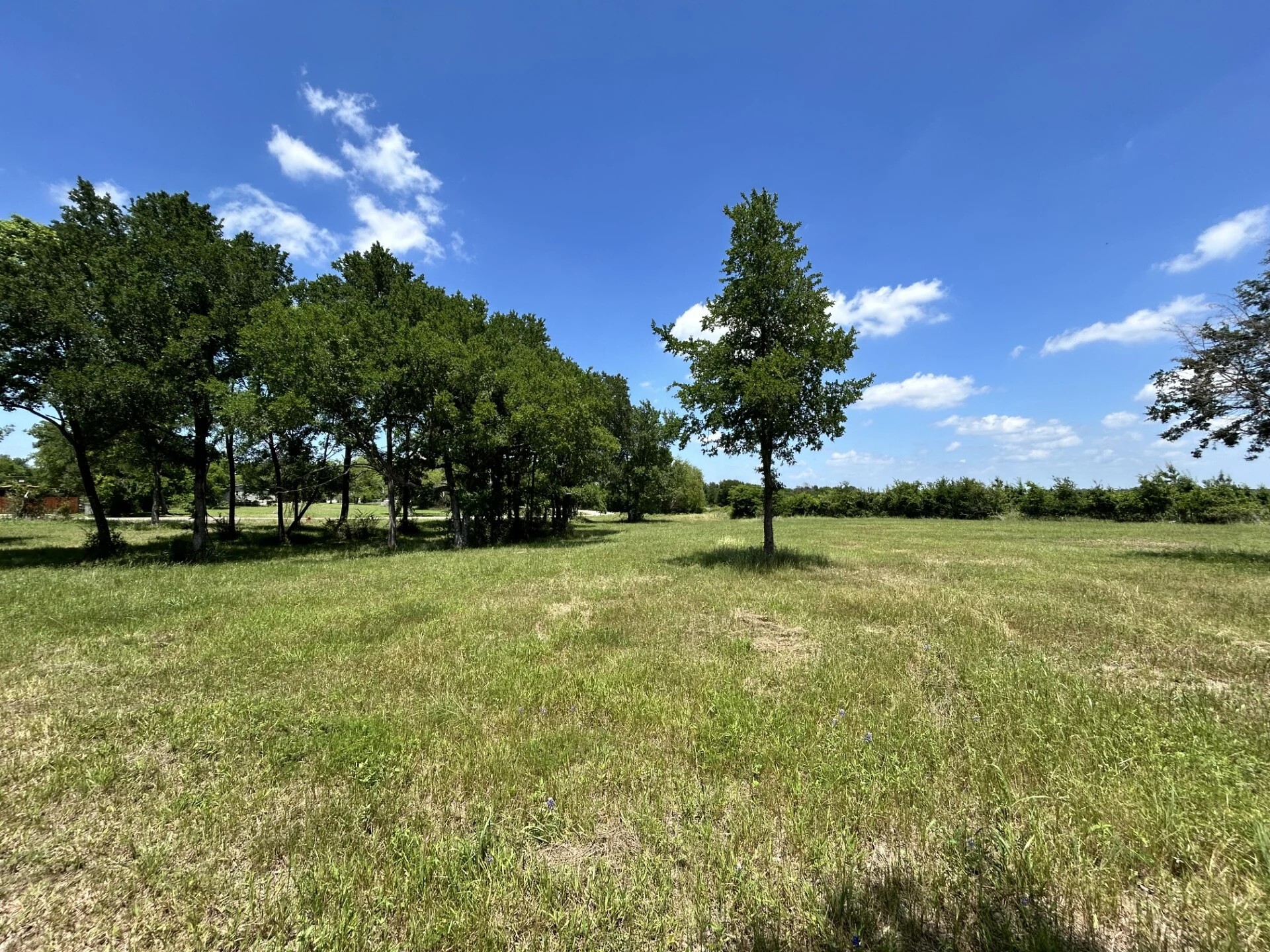 1316 E Titus Street Mexia TX 76667