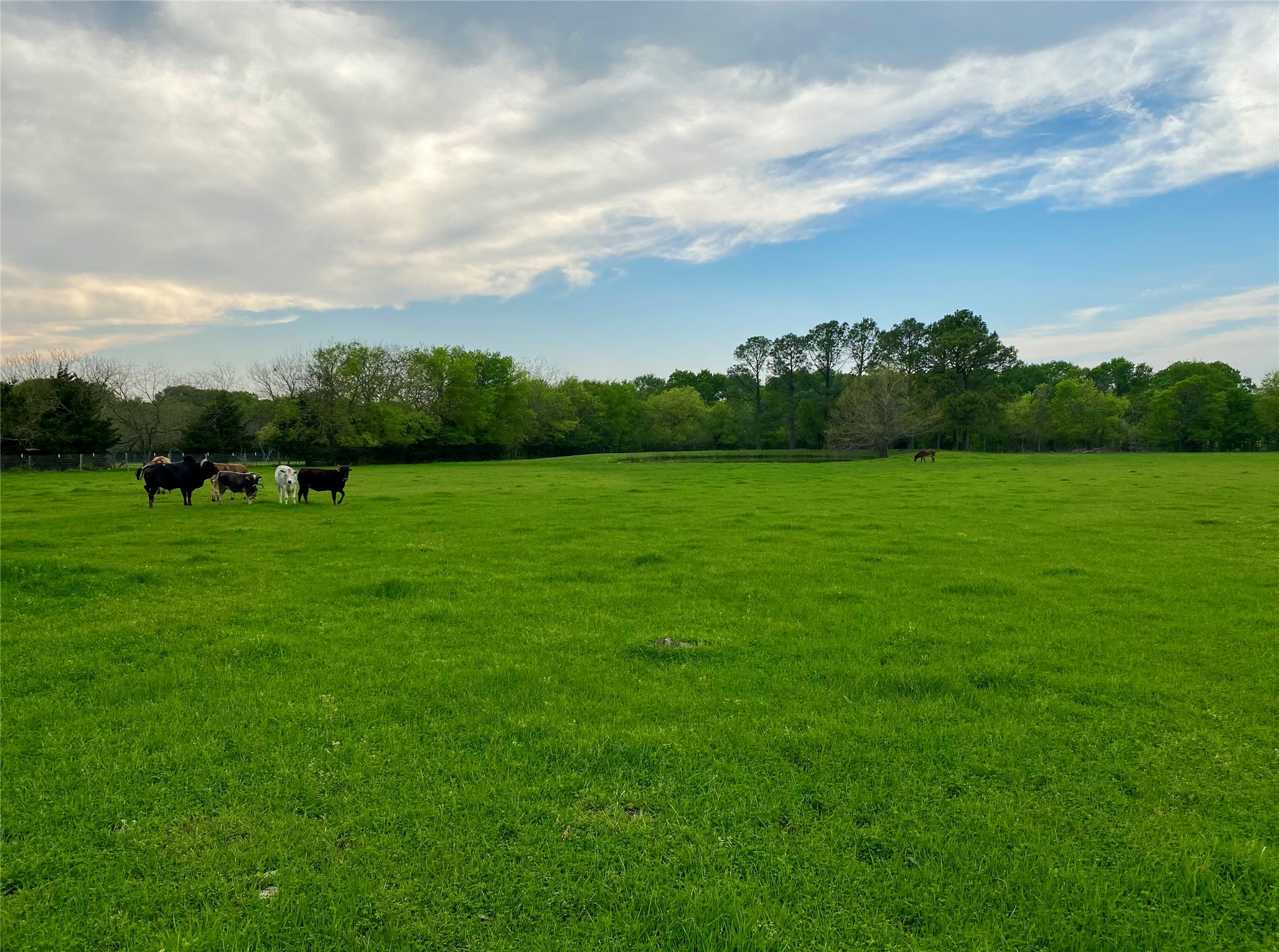 7984 County Road 2582 Royse City TX 75189