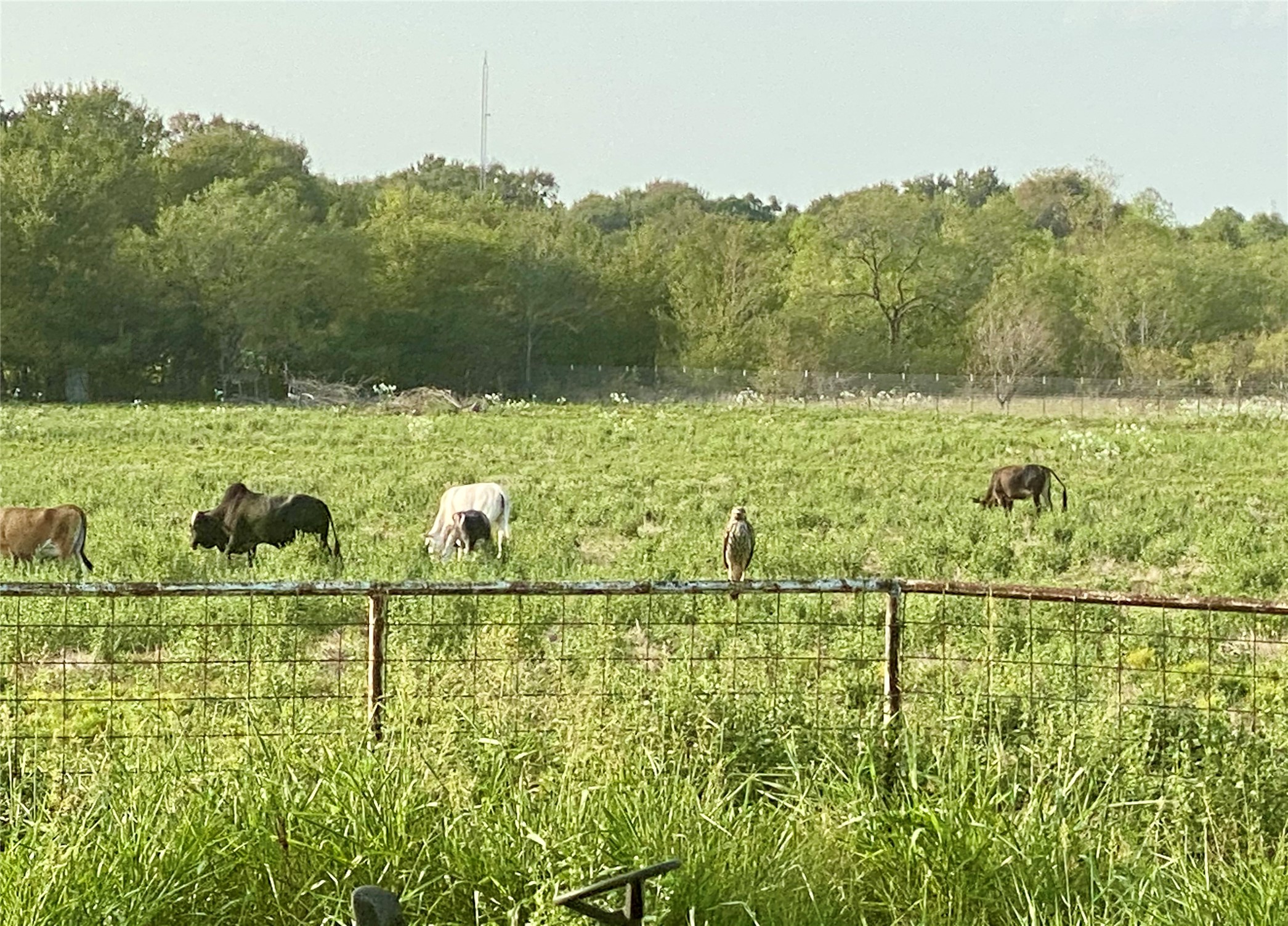 7984 County Road 2582 Royse City TX 75189